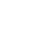 The Y